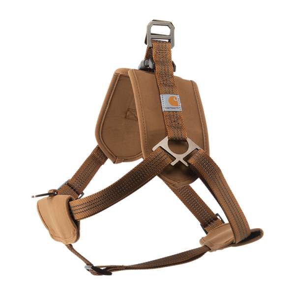 .P000341.Training harness
